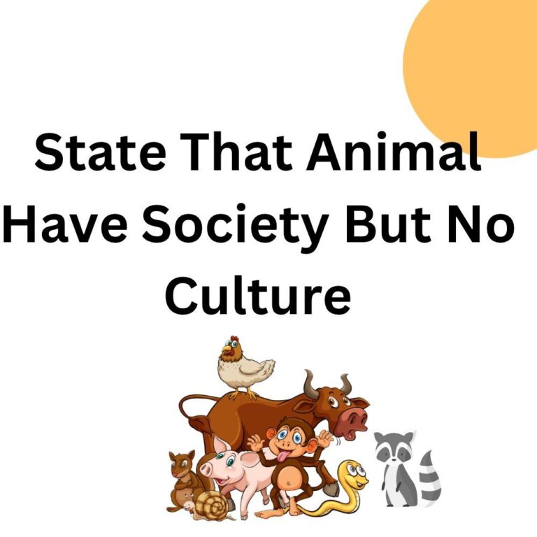 Statement That Animals Have Society But No Culture Notes BA 1st Year